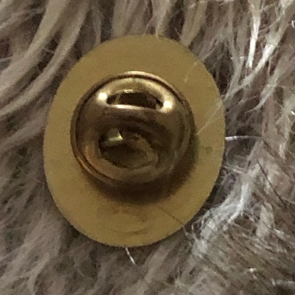 Vintage glaring cat resin coated tac pin